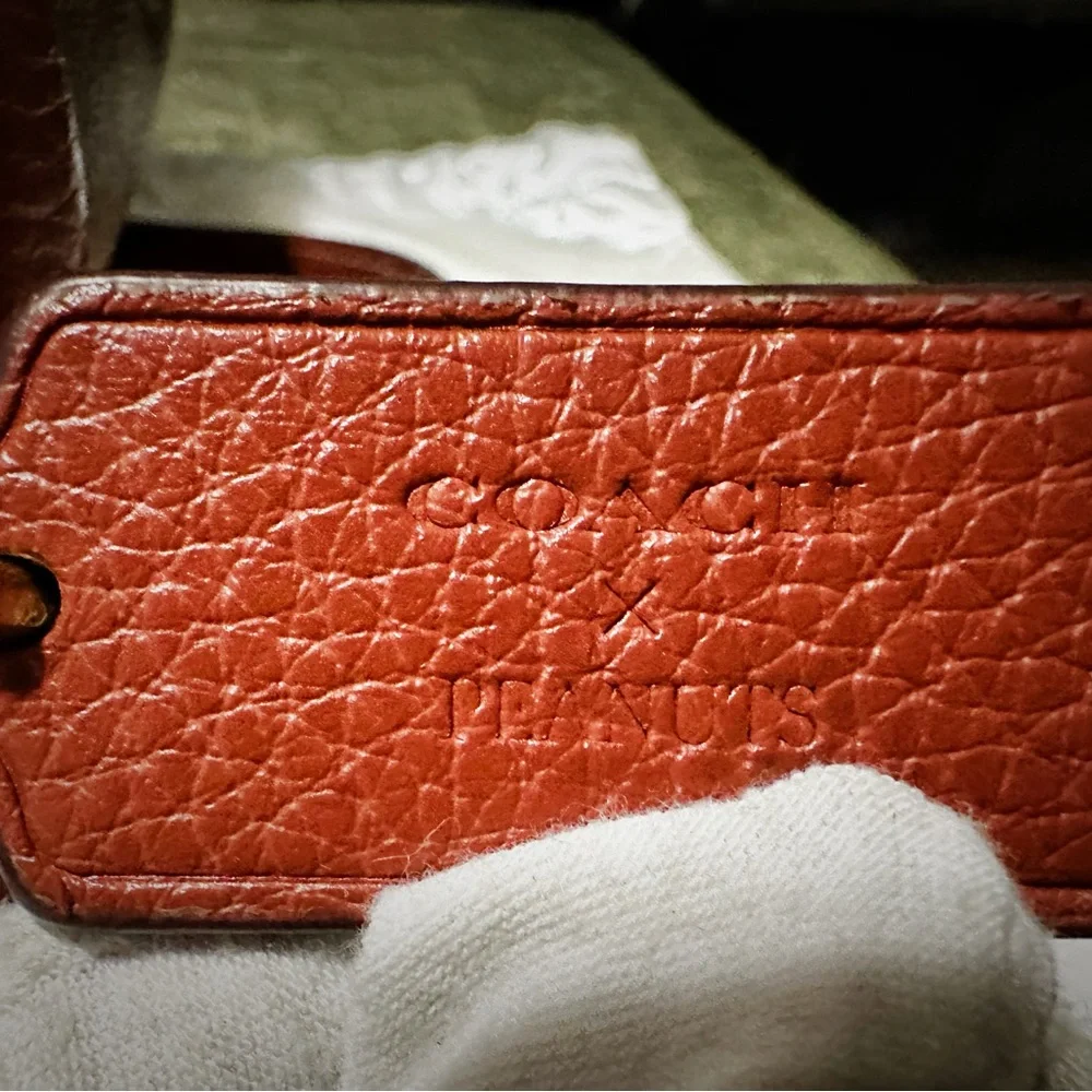 Coach Peanuts Snoopy Backpack Leather Backpack with Cartoon Patches - Picture 16 of 16